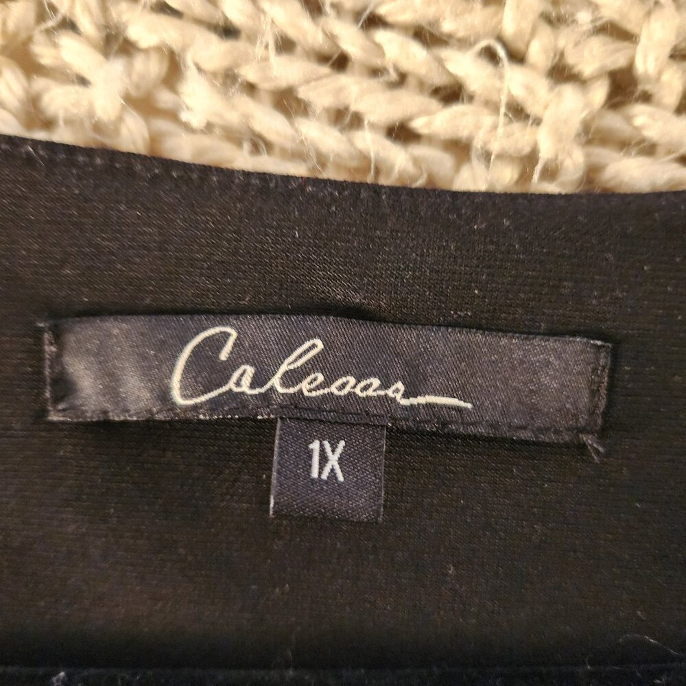 Leopard Print Layered Blouse Size 1x - image 3